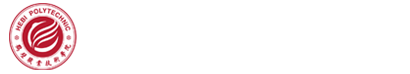 2026足球世界杯网站